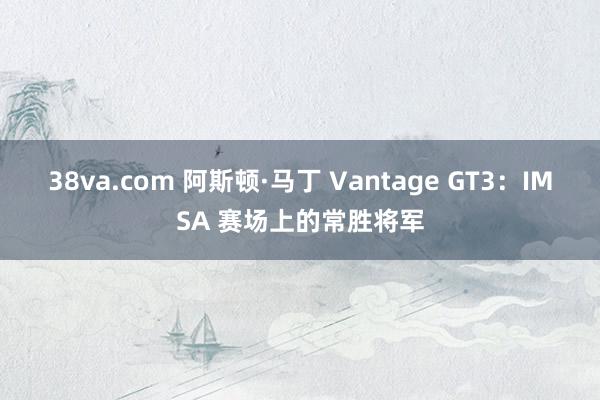 38va.com 阿斯顿·马丁 Vantage GT3：IMSA 赛场上的常胜将军