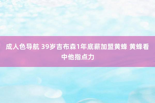 成人色导航 39岁吉布森1年底薪加盟黄蜂 黄蜂看中他指点力