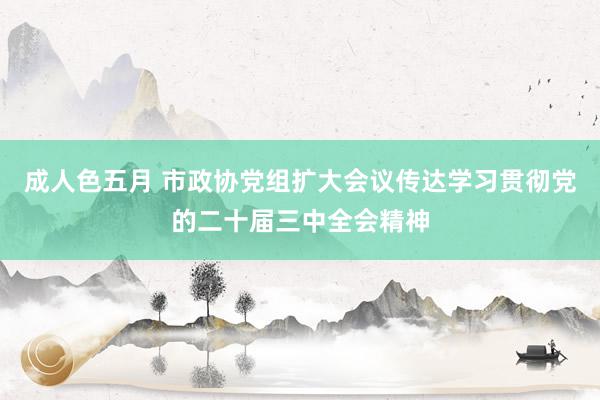 成人色五月 市政协党组扩大会议传达学习贯彻党的二十届三中全会精神