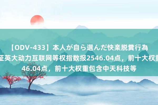 【ODV-433】本人が自ら選んだ快楽脱糞行為 1 神崎まゆみ 中证英大动力互联网等权指数报2546.04点，前十大权重包含中天科技等