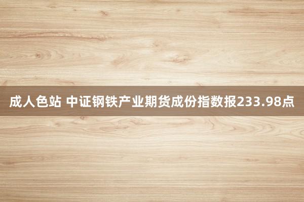 成人色站 中证钢铁产业期货成份指数报233.98点