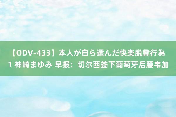 【ODV-433】本人が自ら選んだ快楽脱糞行為 1 神崎まゆみ 早报：切尔西签下葡萄牙后腰韦加