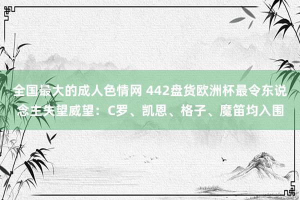 全国最大的成人色情网 442盘货欧洲杯最令东说念主失望威望：C罗、凯恩、格子、魔笛均入围