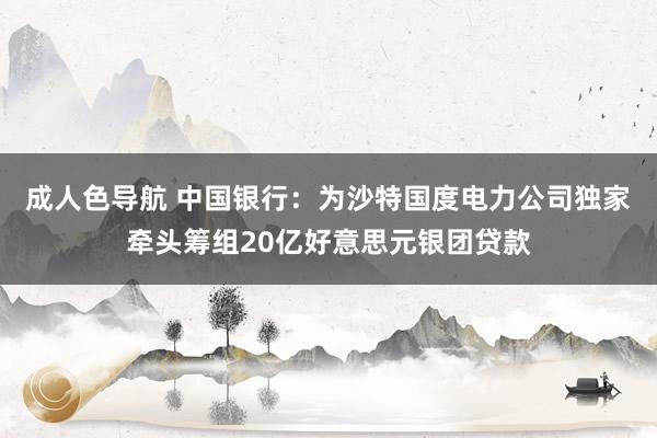 成人色导航 中国银行：为沙特国度电力公司独家牵头筹组20亿好意思元银团贷款