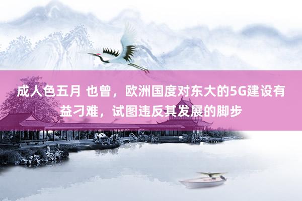 成人色五月 也曾，欧洲国度对东大的5G建设有益刁难，试图违反其发展的脚步