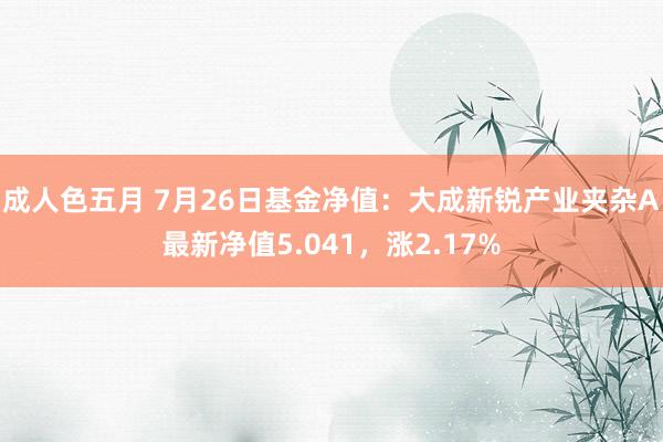 成人色五月 7月26日基金净值：大成新锐产业夹杂A最新净值5.041，涨2.17%