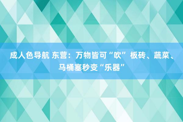 成人色导航 东营：万物皆可“吹” 板砖、蔬菜、马桶塞秒变“乐器”