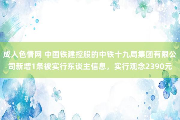 成人色情网 中国铁建控股的中铁十九局集团有限公司新增1条被实行东谈主信息，实行观念2390元