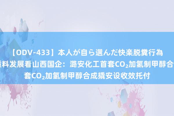 【ODV-433】本人が自ら選んだ快楽脱糞行為 1 神崎まゆみ 高质料发展看山西国企：潞安化工首套CO₂加氢制甲醇合成撬安设收效托付