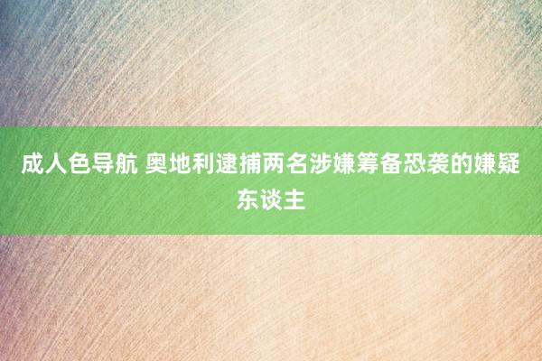 成人色导航 奥地利逮捕两名涉嫌筹备恐袭的嫌疑东谈主