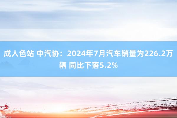 成人色站 中汽协：2024年7月汽车销量为226.2万辆 同比下落5.2%