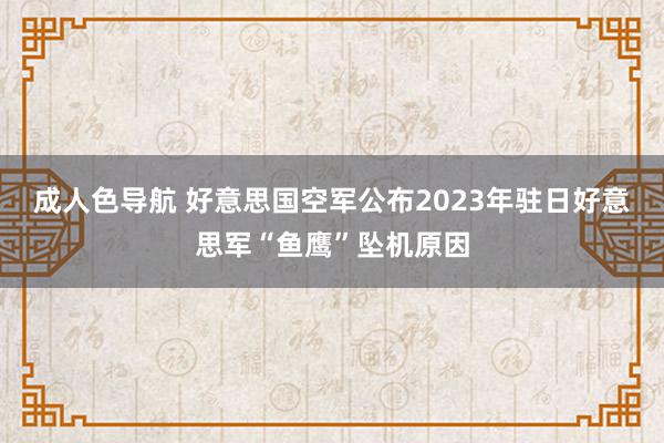 成人色导航 好意思国空军公布2023年驻日好意思军“鱼鹰”坠机原因