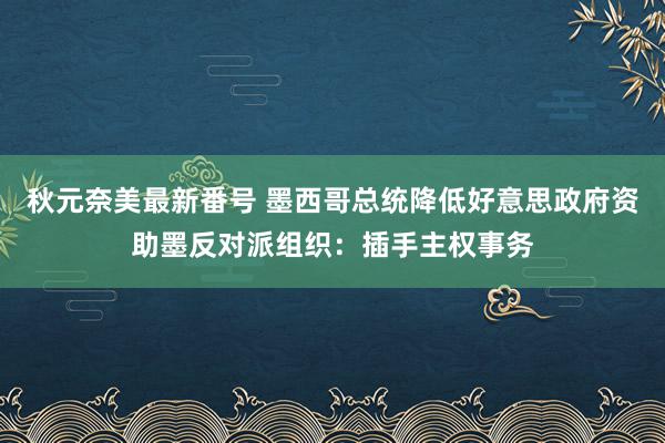 秋元奈美最新番号 墨西哥总统降低好意思政府资助墨反对派组织：插手主权事务