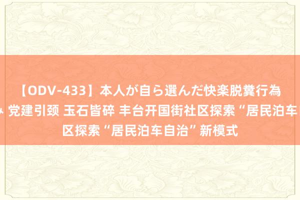 【ODV-433】本人が自ら選んだ快楽脱糞行為 1 神崎まゆみ 党建引颈 玉石皆碎 丰台开国街社区探索“居民泊车自治”新模式