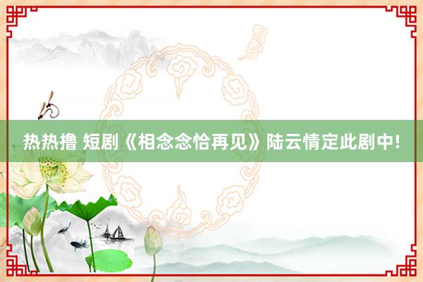 热热撸 短剧《相念念恰再见》陆云情定此剧中!