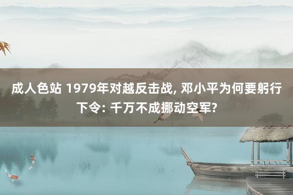 成人色站 1979年对越反击战, 邓小平为何要躬行下令: 千万不成挪动空军?