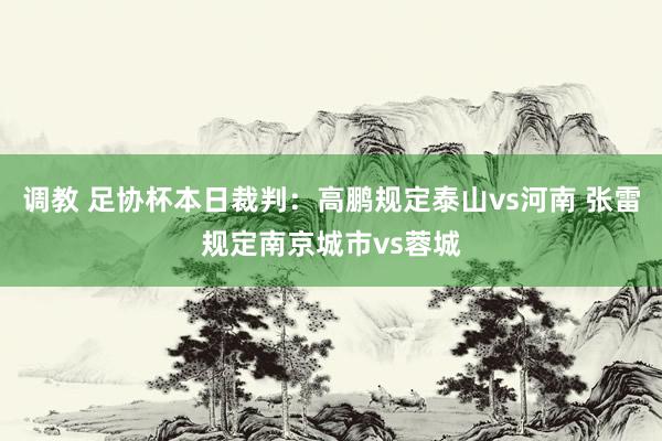 调教 足协杯本日裁判：高鹏规定泰山vs河南 张雷规定南京城市vs蓉城