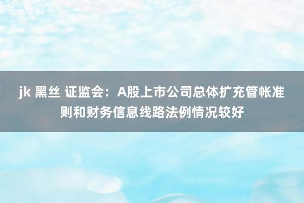 jk 黑丝 证监会：A股上市公司总体扩充管帐准则和财务信息线路法例情况较好