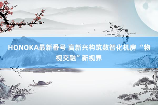 HONOKA最新番号 高新兴构筑数智化机房 “物视交融”新视界