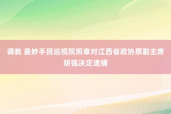 调教 最妙手民巡视院照章对江西省政协原副主席胡强决定逮捕