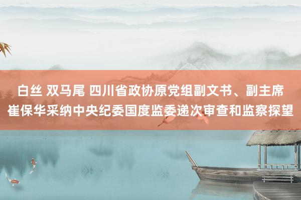 白丝 双马尾 四川省政协原党组副文书、副主席崔保华采纳中央纪委国度监委递次审查和监察探望